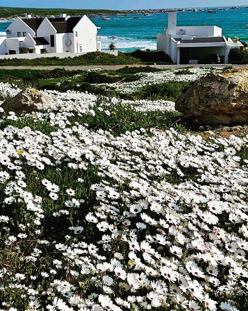 Vila Sonkwas 10 Paternoster Exteriér fotografie